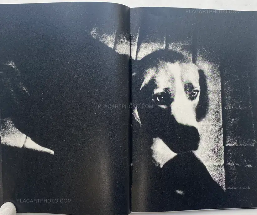 FORECAST (COLLECTORS' EDITION)