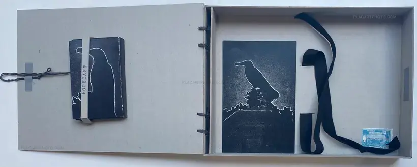 FORECAST (COLLECTORS' EDITION)