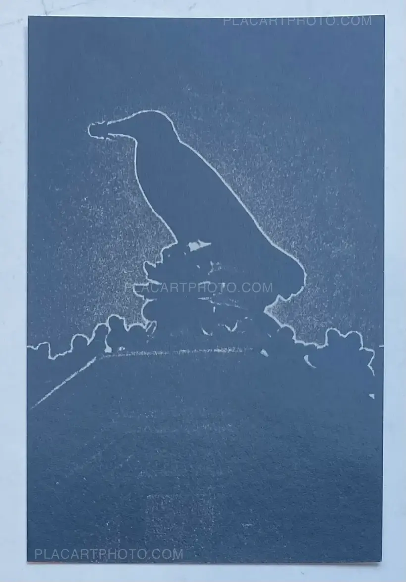 FORECAST (COLLECTORS' EDITION)