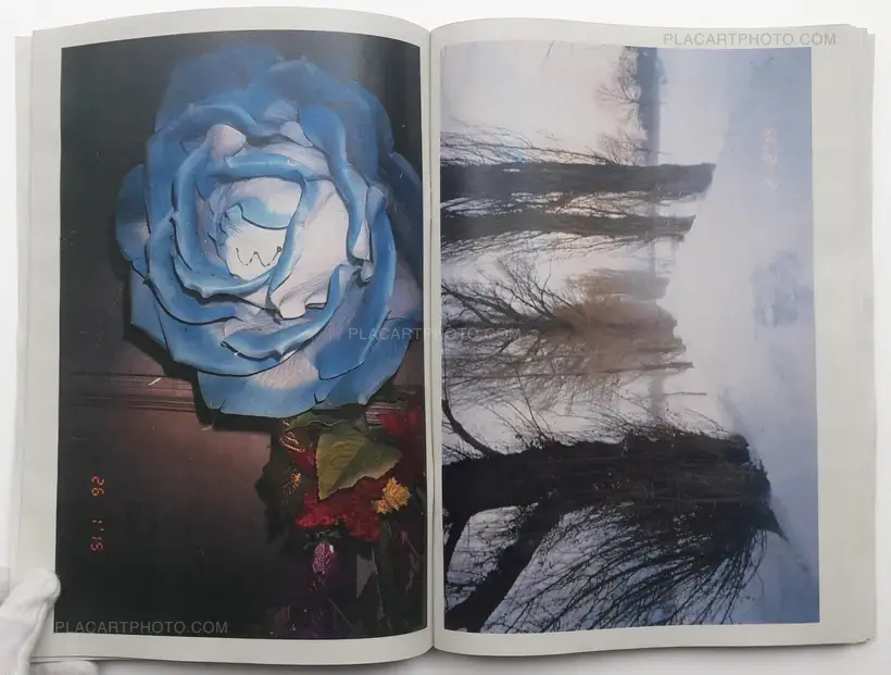 Towards the North (SIGNED)