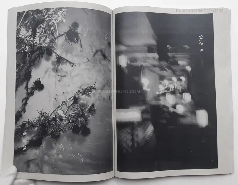 Towards the North (SIGNED)