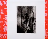 Sweet Home Yokosuka 1976-1980 (SIGNED)