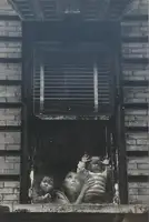 In New York (Feb. 1971-Nov. 1980)