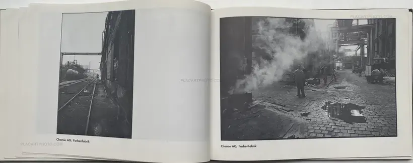 PANIK BLÜTE - Bitterfeld-Report