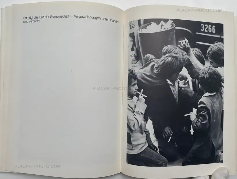 Die kleinen Banditen von Bogota