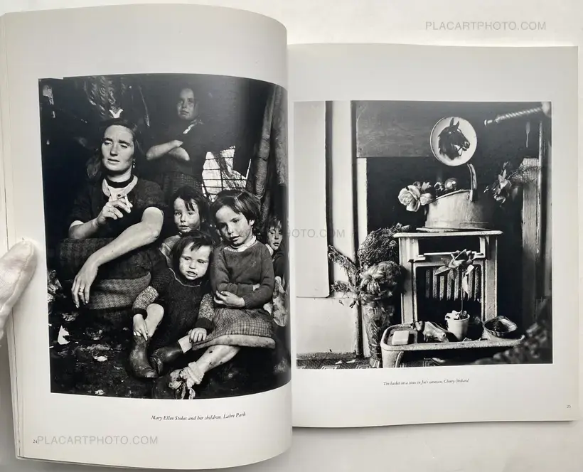 IRISH TRAVELLERS - THINKER NO MORE