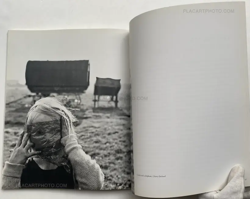 IRISH TRAVELLERS - THINKER NO MORE