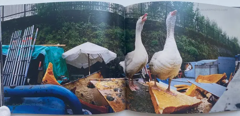 Home Among Black Hills