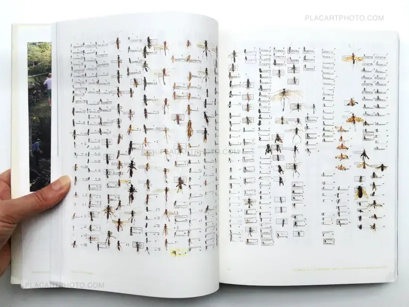 A living space : the homes of Pak Sha O