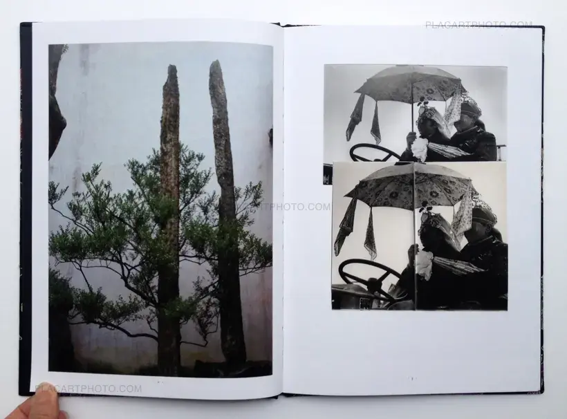 The Critical conditions of my awareness will sometimes trigger the shutter (Signed)