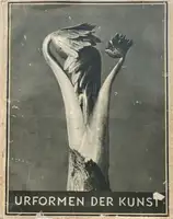 Urformen der Kunst
