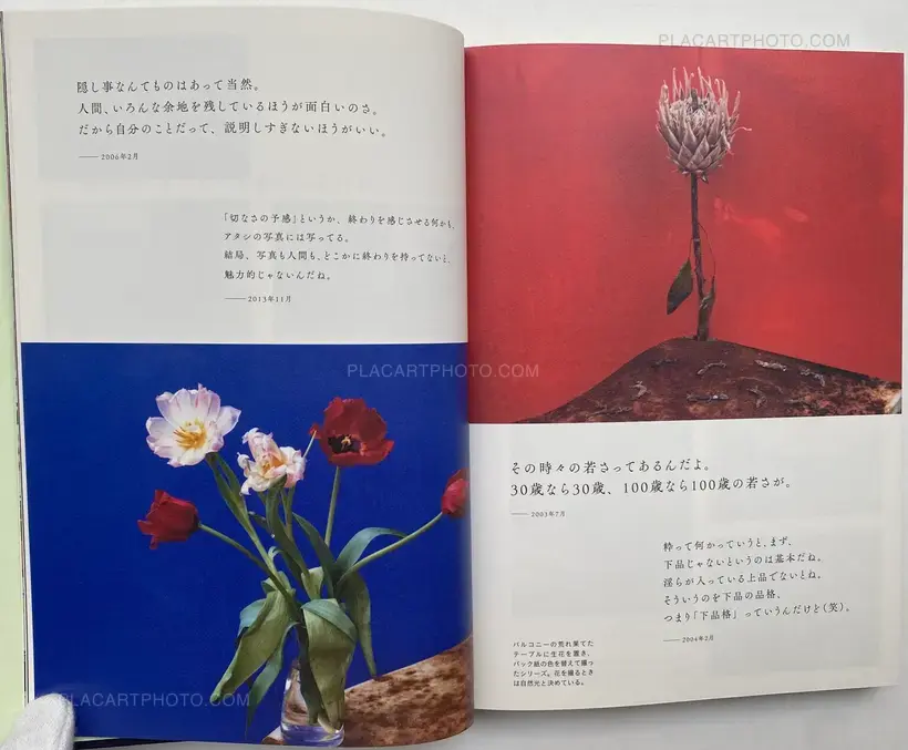 Ai Bana Ararchy 20 years of words 2001-2020 (SIGNED WITH OBI)