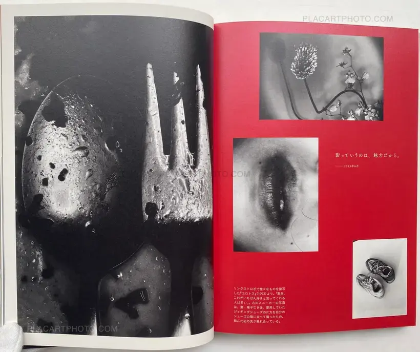 Ai Bana Ararchy 20 years of words 2001-2020 (SIGNED WITH OBI)