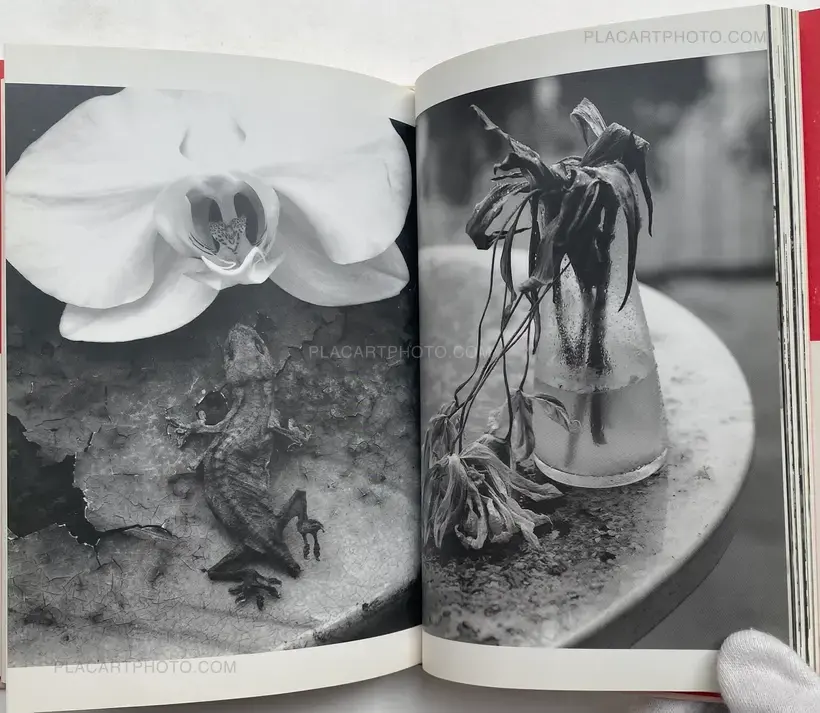 Ai no Balcony (Balcony of Love) (SIGNED WITH OBI)