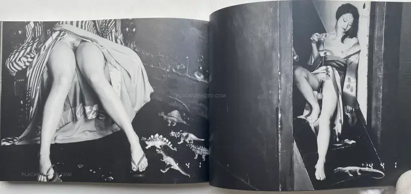 Shakyo Rojin Nikki : Uso (SIGNED)