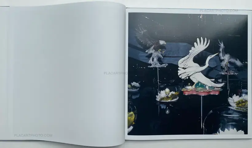 WHITE NOISE (SIGNED)