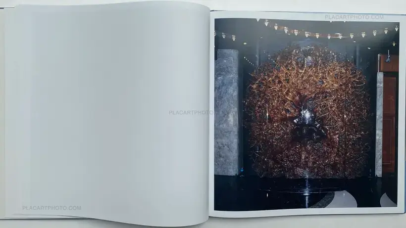 WHITE NOISE (SIGNED)