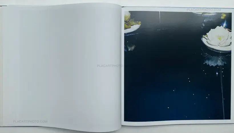 WHITE NOISE (SIGNED)