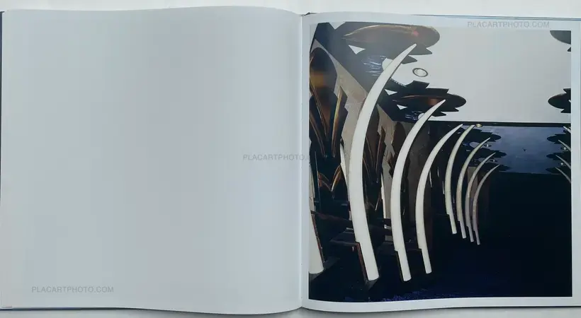 WHITE NOISE (SIGNED)