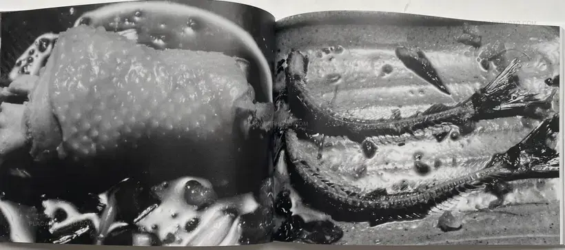 ARAKI Nobuyoshi Sentimental Journey 1971 - 2017-