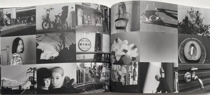 ARAKI Nobuyoshi Sentimental Journey 1971 - 2017-