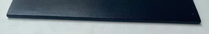 OVER THEIR DEAD BODIES