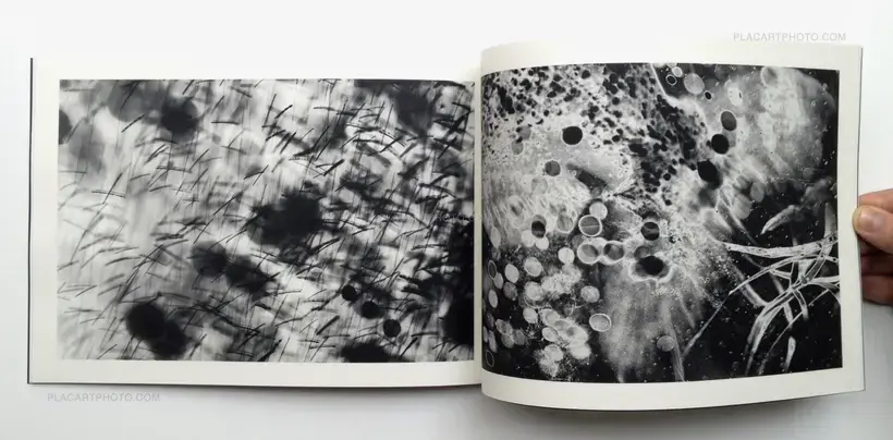 Far too lovely to return (Signed)