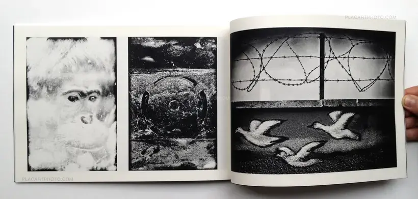 Far too lovely to return (Signed)