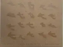 so it goes, so it goes, so it goes