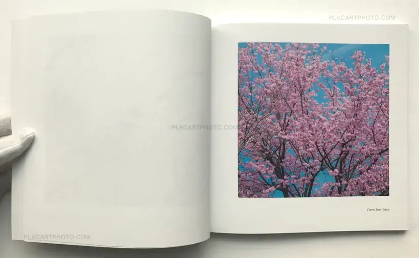 From Tokyo to Kyoto (SIGNED)