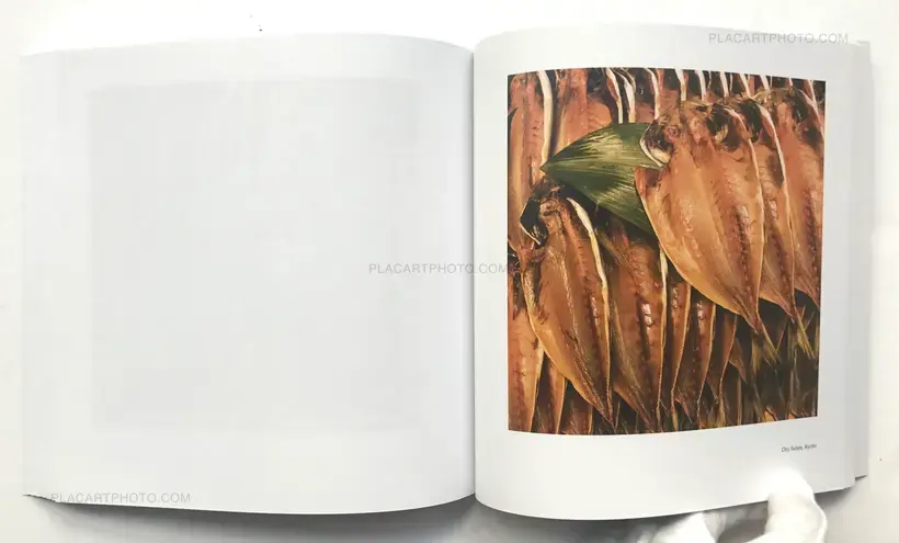 From Tokyo to Kyoto (SIGNED)