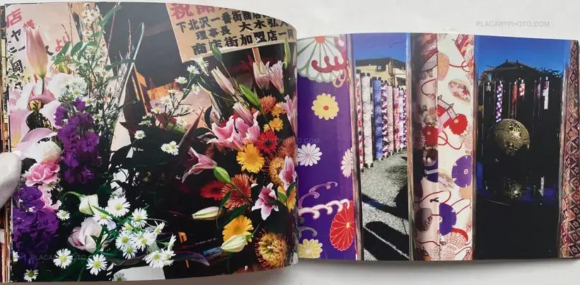 JAPAN VISIONS (SIGNED)