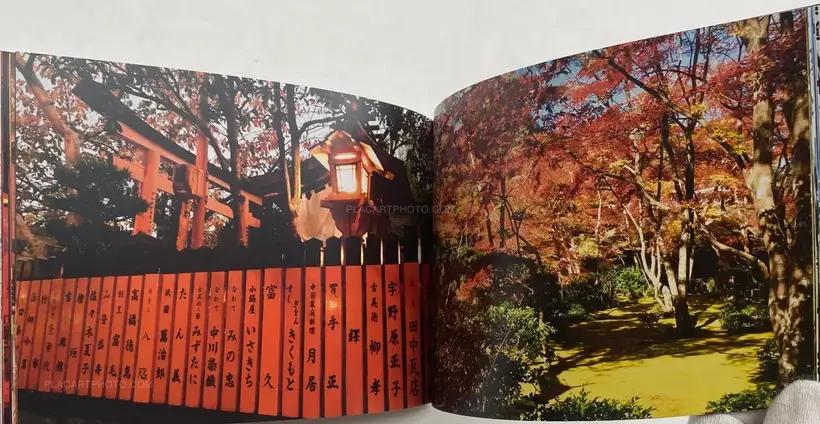 JAPAN VISIONS (SIGNED)