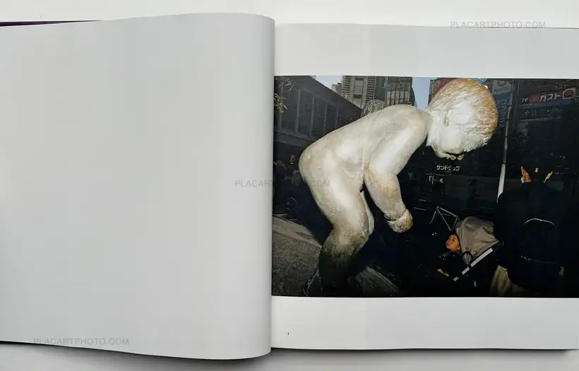 Tokyo Superdeep Borehole