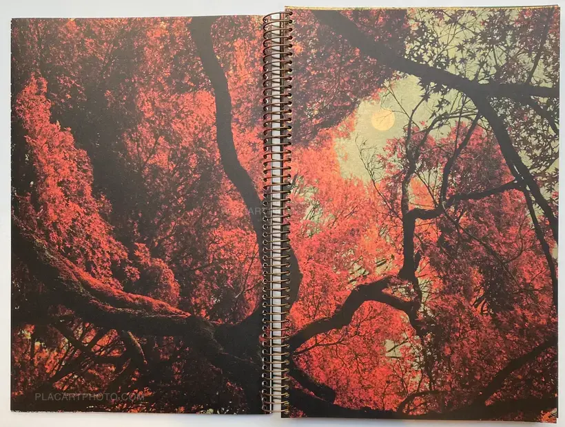 THE WORLD'S FIRST PHOTOBOOK WAS BLUE