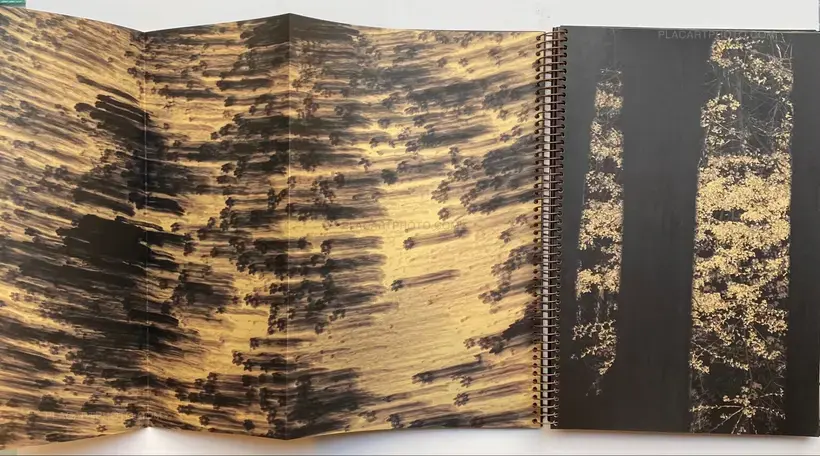 THE WORLD'S FIRST PHOTOBOOK WAS BLUE