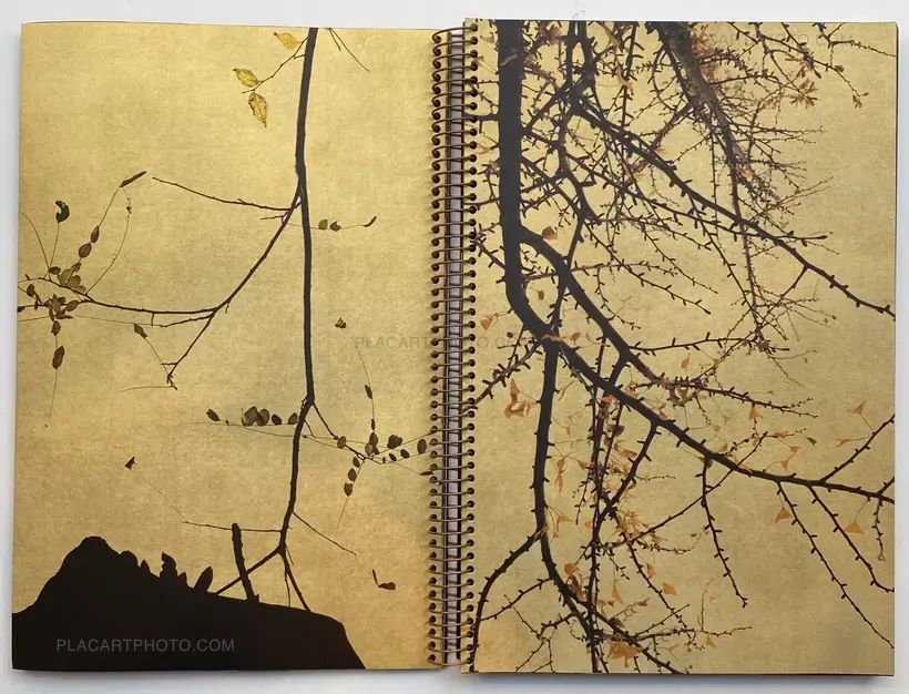 THE WORLD'S FIRST PHOTOBOOK WAS BLUE