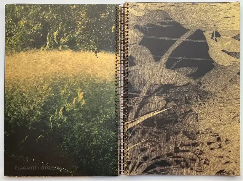 THE WORLD'S FIRST PHOTOBOOK WAS BLUE