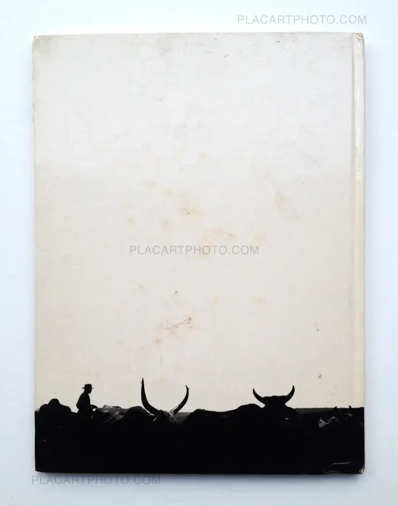 A João Guimarães Rosa