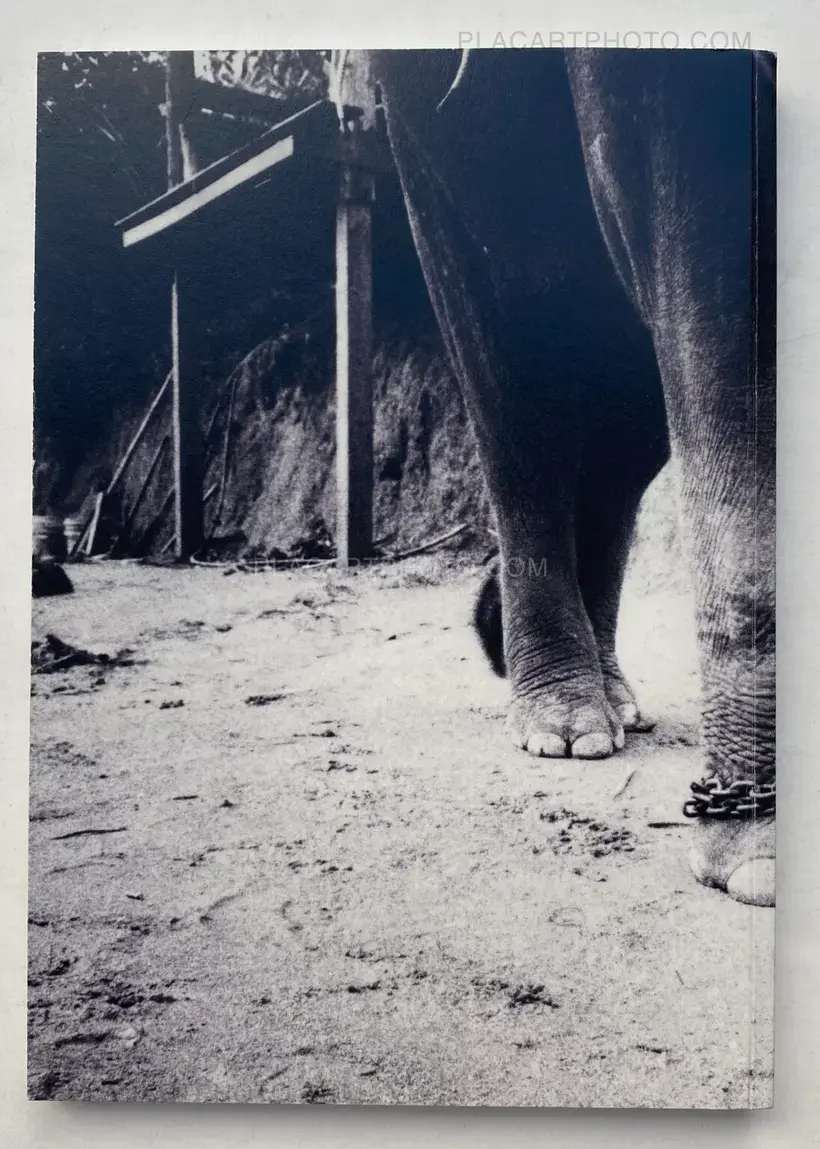 Elephant (SIGNED AND NUMBERED)