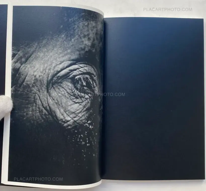 Elephant (SIGNED AND NUMBERED)