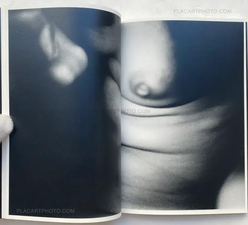 Elephant (SIGNED AND NUMBERED)