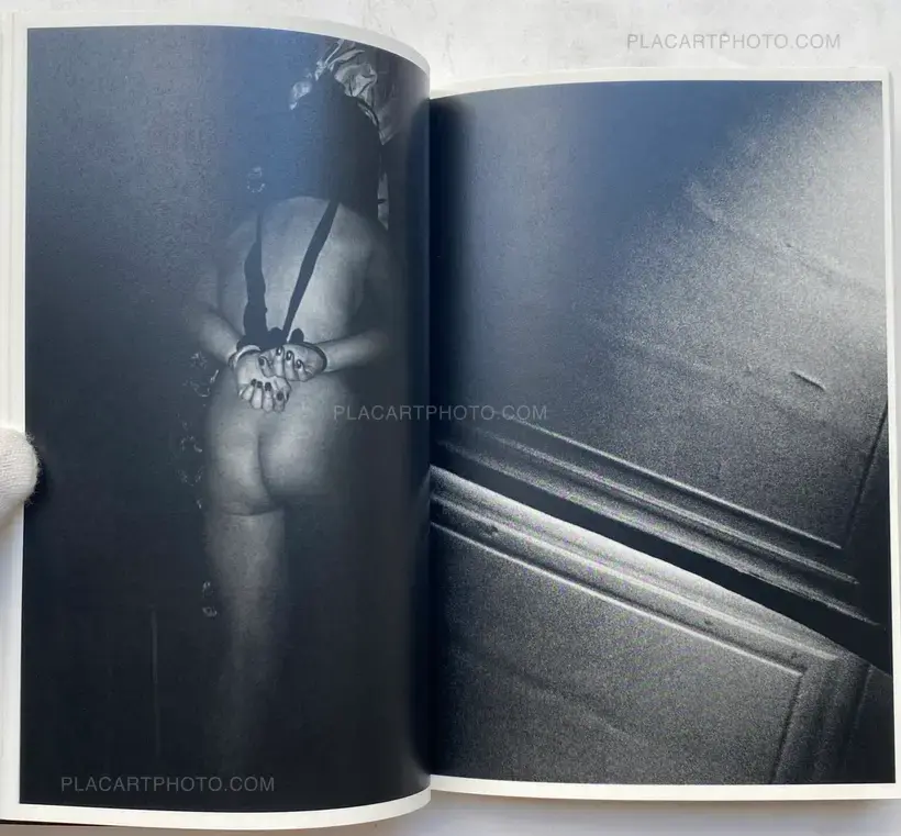 Elephant (SIGNED AND NUMBERED)