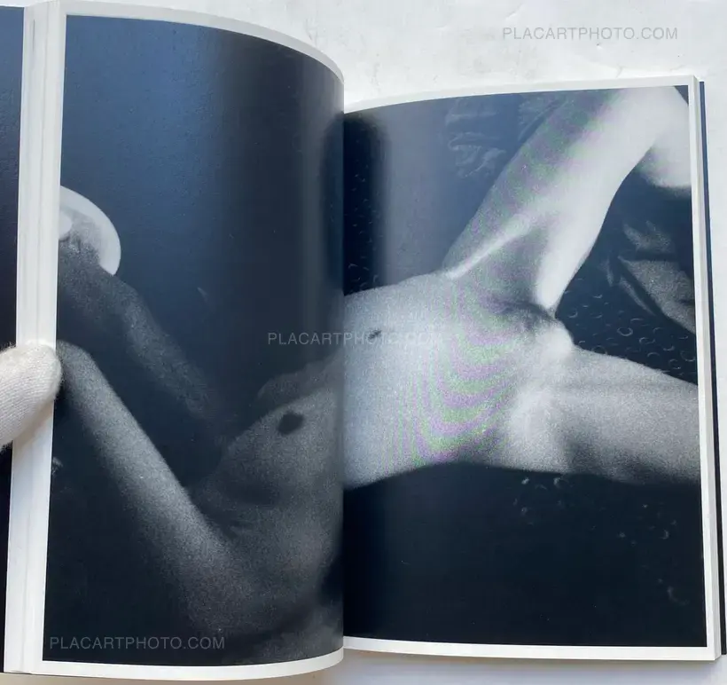 Elephant (SIGNED AND NUMBERED)