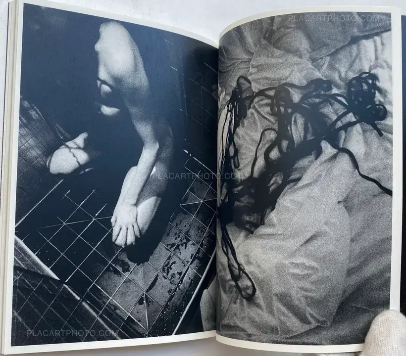 Elephant (SIGNED AND NUMBERED)