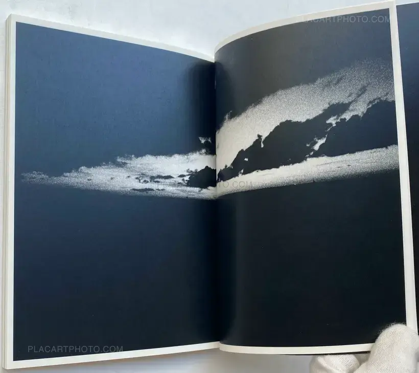 Elephant (SIGNED AND NUMBERED)