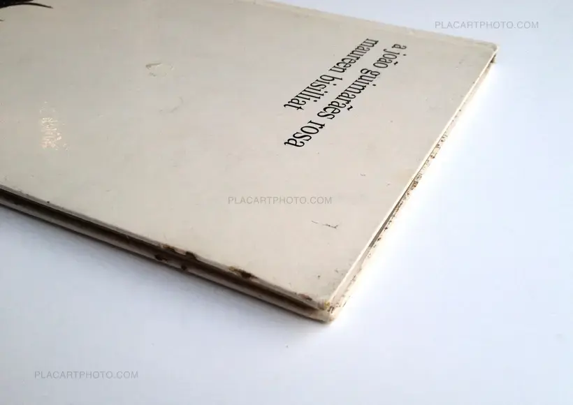 A João Guimarães Rosa