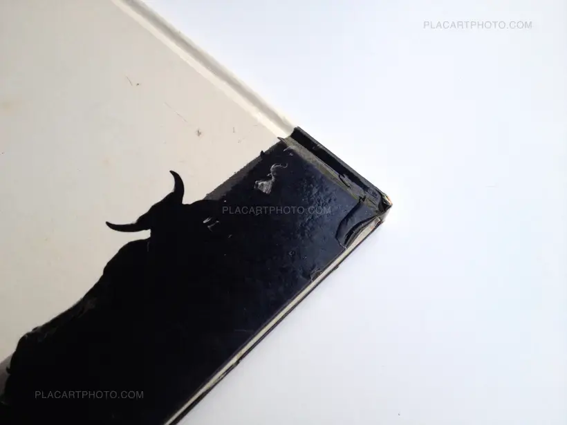 A João Guimarães Rosa