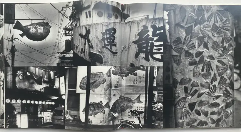 DE ONTDEKKING VAN JAPAN