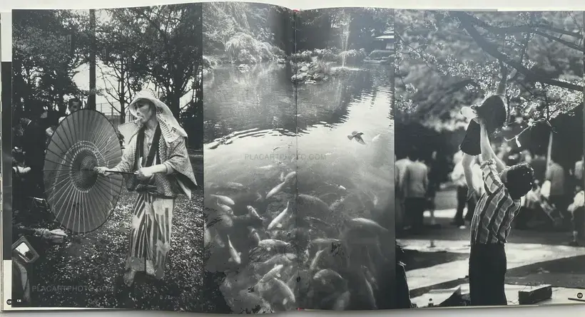 DE ONTDEKKING VAN JAPAN